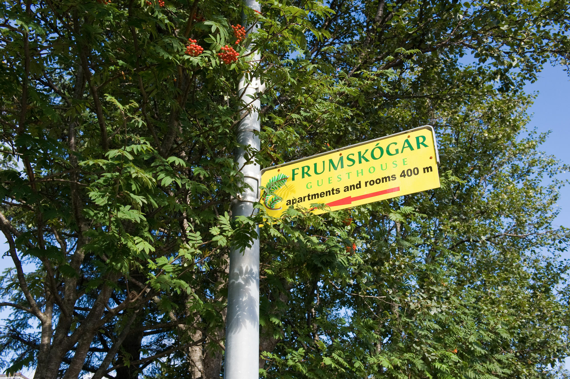 Frumskogar Guesthouse & Apartments Hveragerdi Exteriör bild